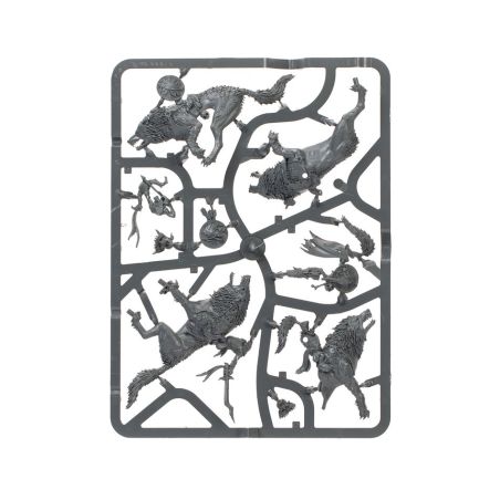 Gloomspite Gitz: Fer de Lance Grognemeute de Chasse (x11 Figurines)