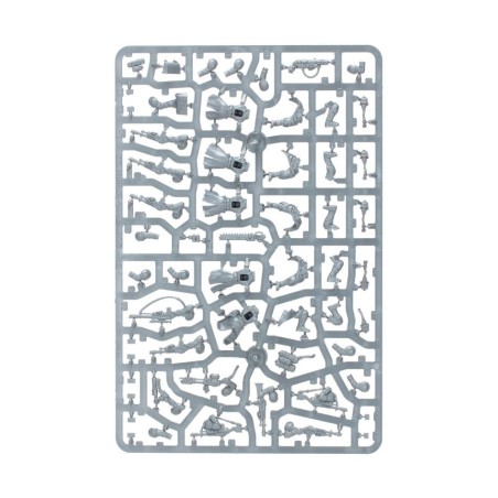 Astra Militarum: Death-Korp-of-Krieg-Patrouille