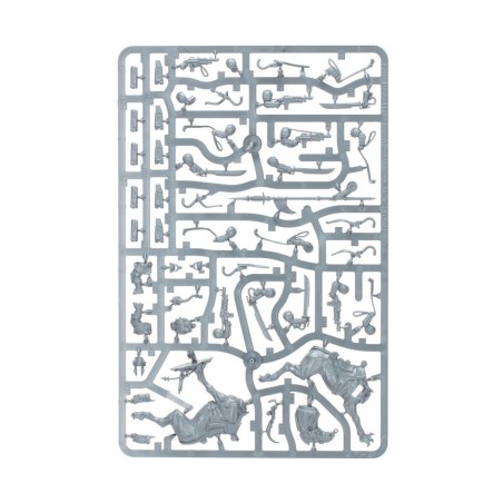 Astra Militarum: Death-Korp-of-Krieg-Patrouille