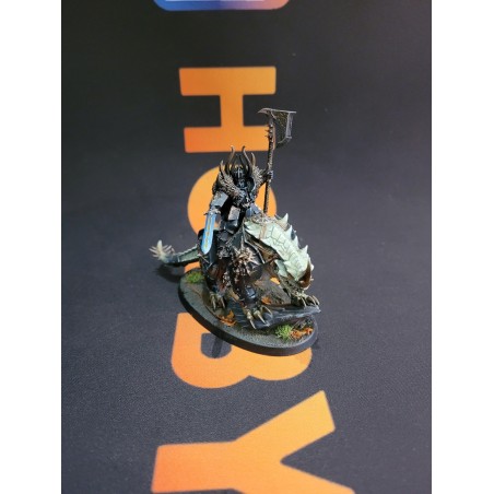 Pro-Paint-Chaos-Lord-sur-Karkadrak-