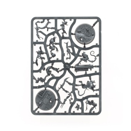 Warhammer-Underworlds-Pillards-de-la-Ruine-x15-Figurines