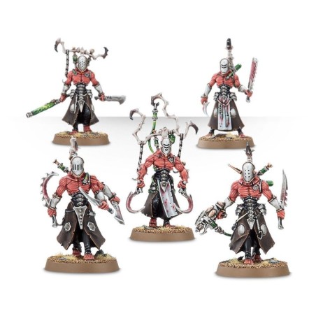 Drukhari: Gorgones (x10)