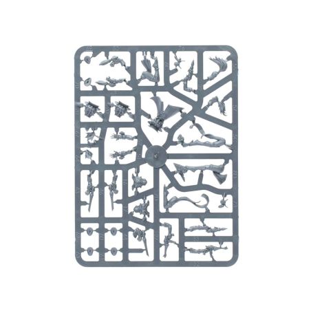 Aeldari: Patrouille Harlequin