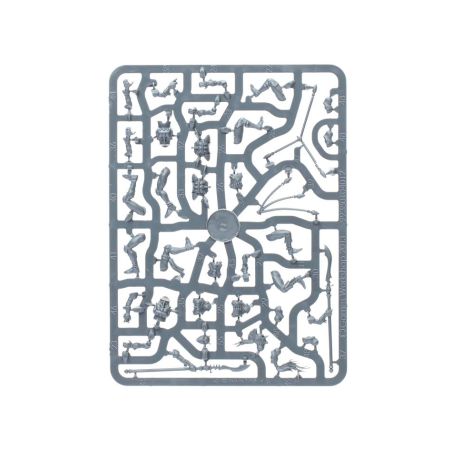 Aeldari: Patrouille Harlequin