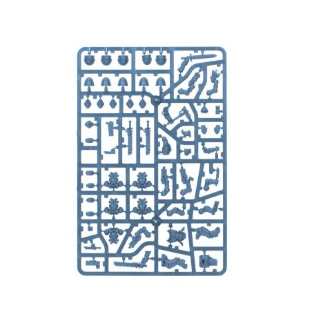 White Scars: Patrouille (x10)