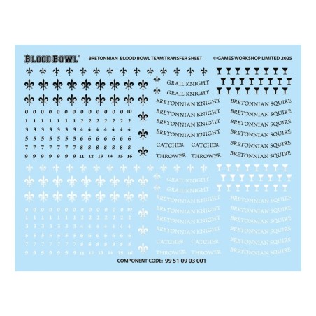 Bloodbowl-The-Brionne-Barons-Bretonnians-Team-x12-Figurines