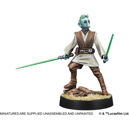 SW Légion: Customizable Jedi General and Knight 
