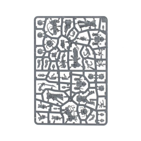 emperor-s-children-battleforce-blissbound-warband