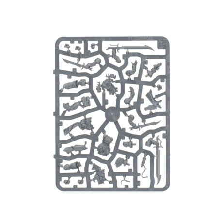 emperor-s-children-battleforce-blissbound-warband