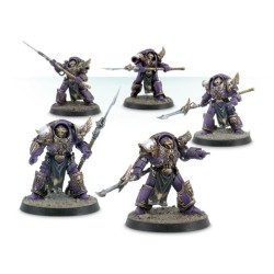 Emperor's Children Phoenix Terminators