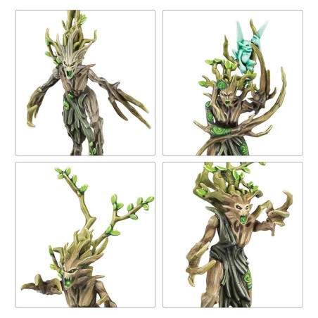 Sylvaneth-battleforce-fielbosquet-de-pariah-x37-figurines