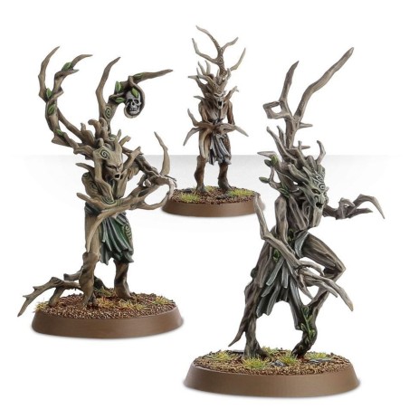 Sylvaneth-battleforce-fielbosquet-de-pariah-x37-figurines
