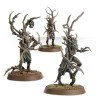 Sylvaneth-battleforce-fielbosquet-de-pariah-x37-figurines