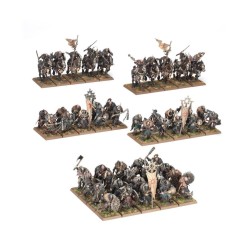 The-Old-World-Guerriers-du-Chaos-Chaos-Marauders-Army-Reinforcement-Set