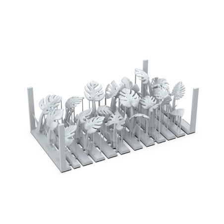 Ak-Monstera-x14-Pieces