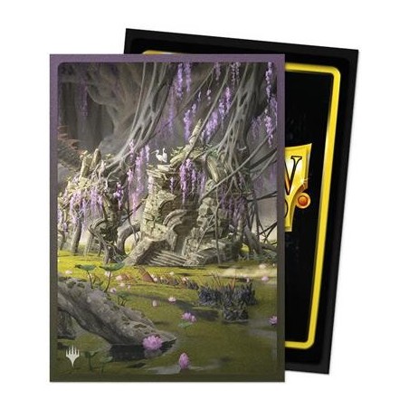 Pochettes-Dragon-Shield-Verdant-Catacomb-Art