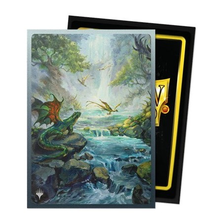 Pochettes-Dragon-Shield-Misty-Rainforest-Art