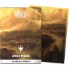 Pochettes-Dragon-Shield-Arid-Mesa-Art