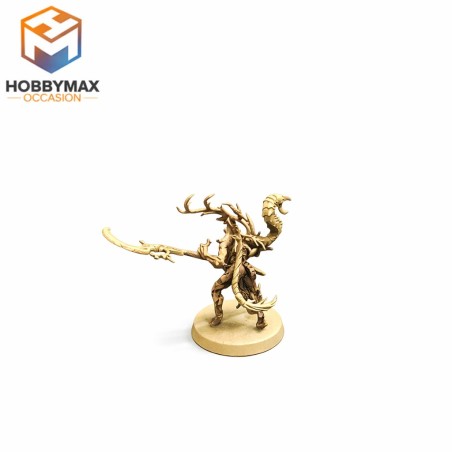 occasion-branchwitch