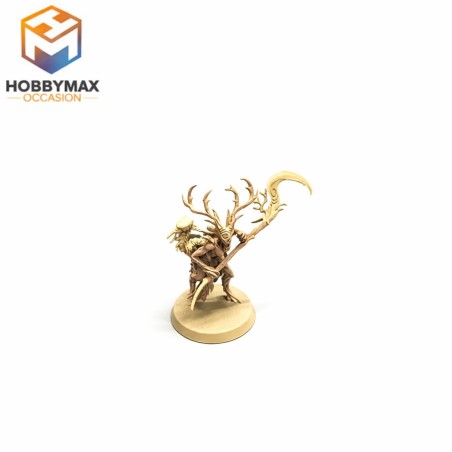 occasion-branchwitch