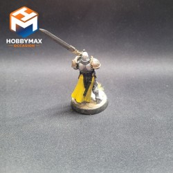 occasion-personnage-stormcast-convertie