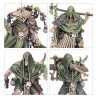 Maggotkin-of-Nurgle-Fer-de-Lance-Cellule-Bubonique-x18-Figurines