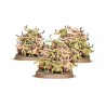 Maggotkin-of-Nurgle-Fer-de-Lance-Cellule-Bubonique-x18-Figurines