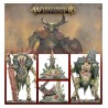 maggotkin-of-nurgle-chancrenes-x4
