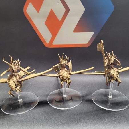 occasion-3x-spite-rider-lancer