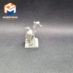 occasion-chaman-gobelin