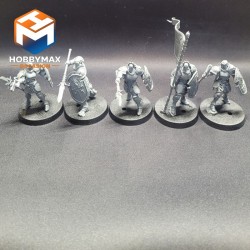 occasion-5x-vindictor