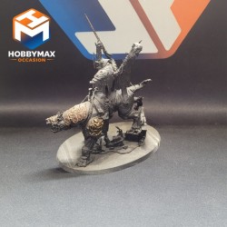 occasion-vasoboss-sur-monture