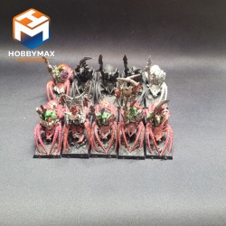 occasion-8x-chevaucheurs-d-araignees-2