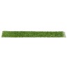 ak-realistic-green-moss