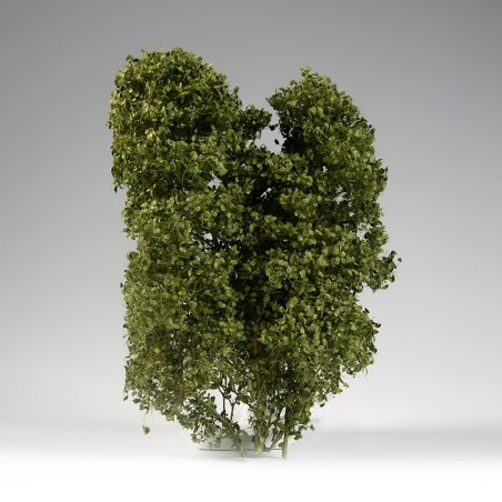 ak-spring-feligree-brushes