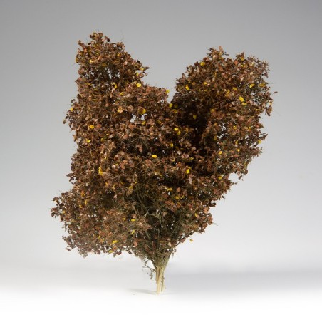 ak-spring-feligree-brushes