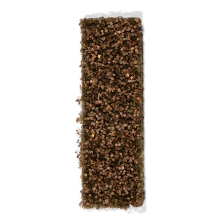 AK-Chestnut-Foliage-Late-Fall