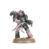 Emperor's Children: Battleforce Lords of Excess (x33 Figurines)