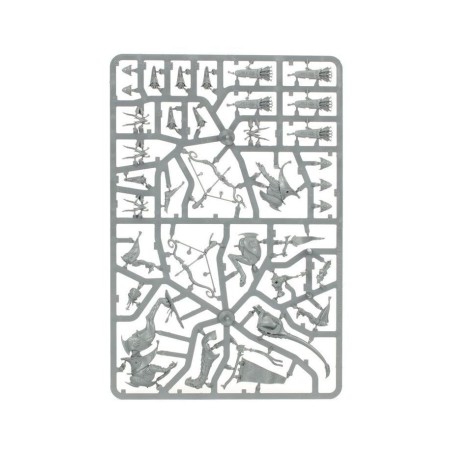 Lumineth-Realm-Lords-Avant-Garde-Hurakaine-x17-Figurines