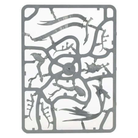 Lumineth-Realm-Lords-Avant-Garde-Hurakaine-x17-Figurines