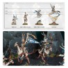 Lumineth-Realm-Lords-Avant-Garde-Hurakaine-x17-Figurines