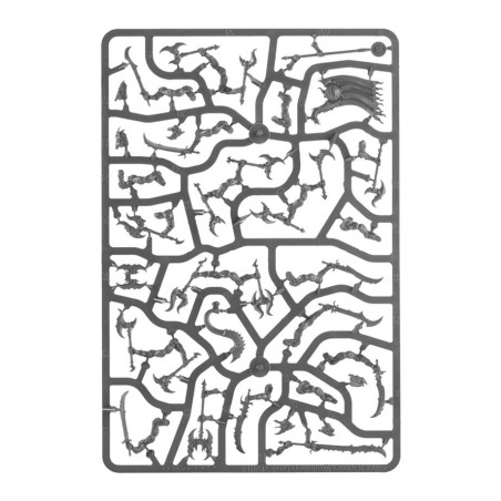 Disciples-of-Tzeentch-Avant-Garde-Troupe-de-Guerre-de-Tzaangor-x17-Figurines