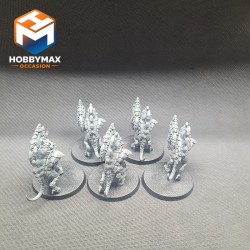 occasion-5x-barbgaunt