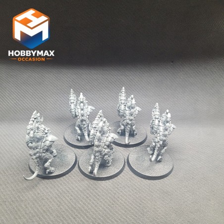 occasion-5x-barbgaunt