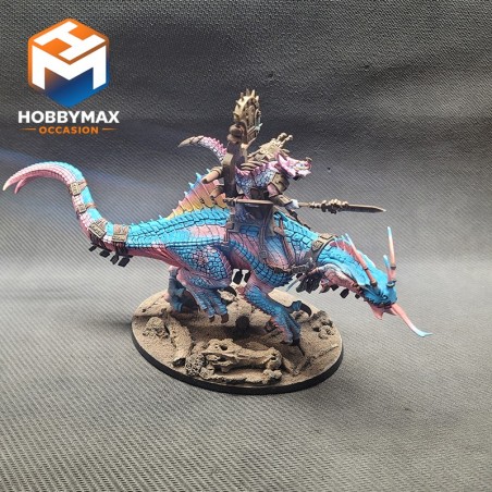 occasion-chef-sur-troglodon