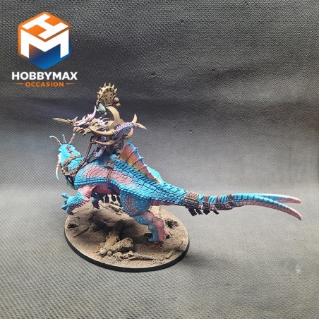 occasion-chef-sur-troglodon