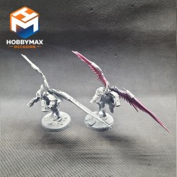 occasion-2x-stormcast-ailes