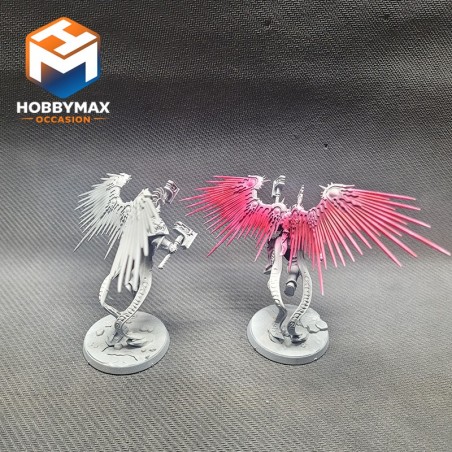occasion-2x-stormcast-ailes