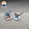 occasion-stormcast-divers