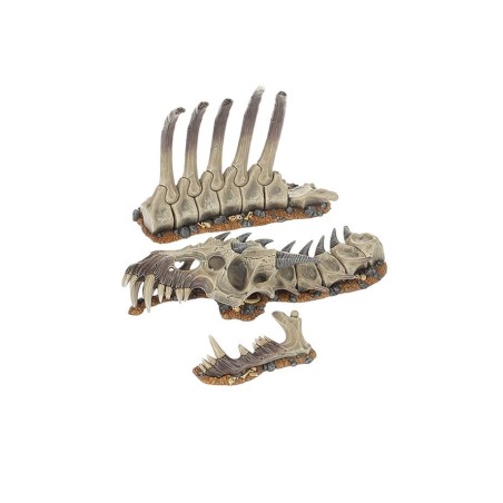 Decor-Carcasse-de-Megadroth